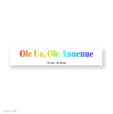 Hanau Ka Ua ハワイの雨の名辞典 Hānau Ka Ua: Hawaiian Rain Names | Native Books
