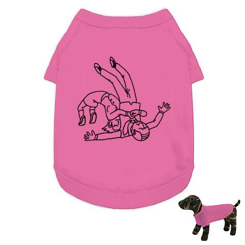 ジャーマンスープレックス様　上下S ジャーマン・スープレックス集 : r/Wreddit