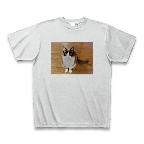 heavena by marcjacobs 猫プリント Tシャツ グレー GLOSTER/グロスター】DOG&CAT 犬猫プリント ピグメント プリント
