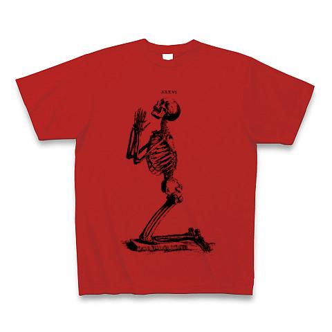 noremid 骸骨tシャツ bone t ノーリミッド ケンタウロス健太赤