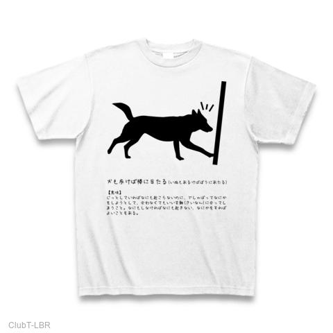 71K8LRscTcL._AC_UF350,