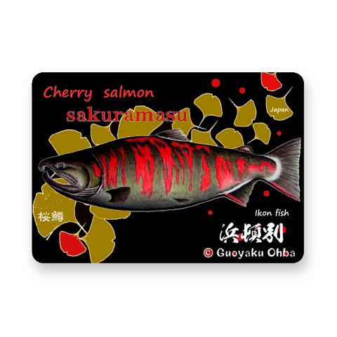 桜鱒；浜頓別（サクラマス；SAKURAMASU；産卵期；婚姻色）（表面黒地