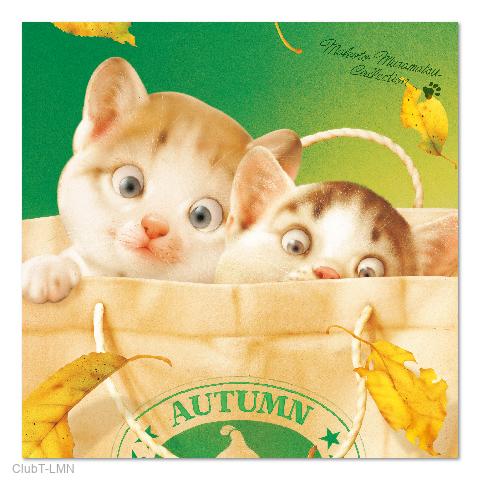 村松誠 ビッグコミックオリジナル2018年11月5日号「落ち葉と猫