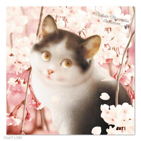 村松誠 ビッグコミックオリジナル2022年4月5日号「しだれ桜と猫