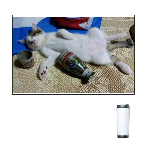 酔っ払いの猫 酔っ払いの猫