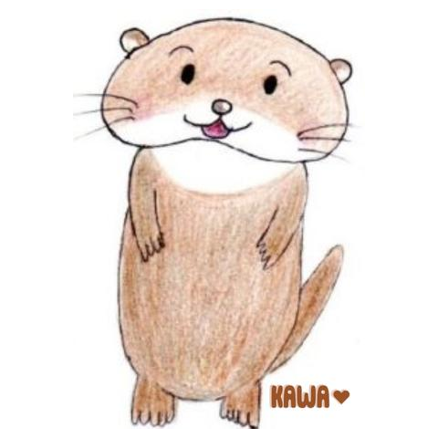 かわちゃん