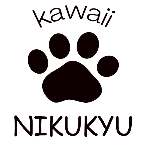 NIKUKYU1(黒)Frontデザイン