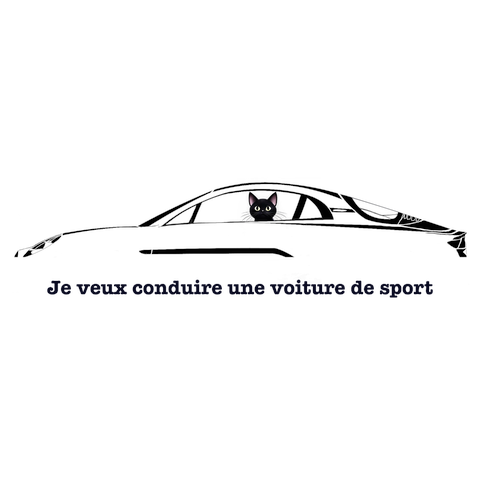 アルピーヌ　A110 ＋黒猫+キャッチコピー