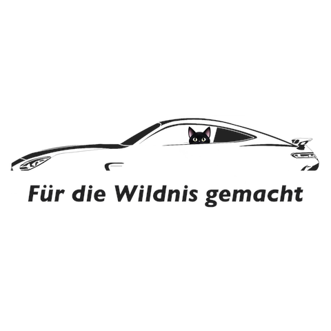 メルセデスAMG GT＋黒猫+キャッチコピー案