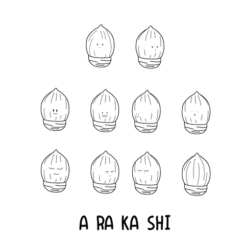 アラカシのどんぐり