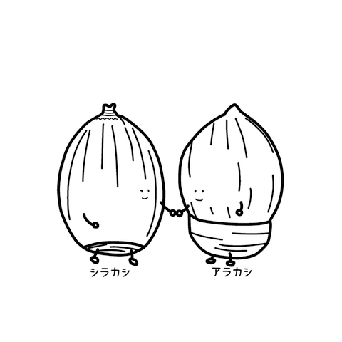 シラカシとアラカシの仲良しどんぐりTシャツ