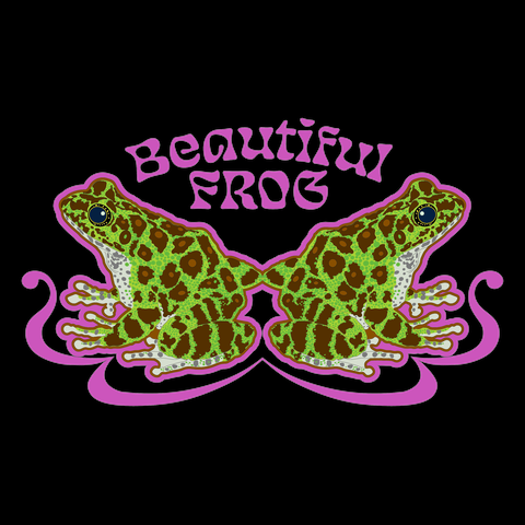 オキナワイシカワガエル