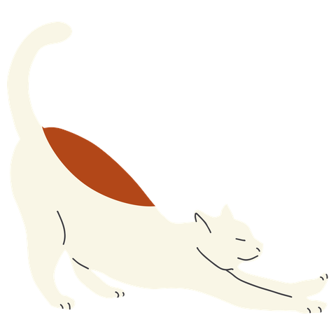にょいーーーーーーーーーーーーーーーーーーん！！！！（茶）