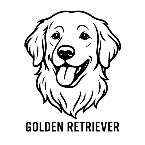 ゴールデンレトリバーの線画Tシャツ｜犬好き必見のおしゃれなデザイン
