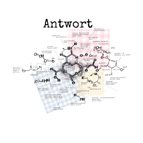 Chemical Formula × Pastel Check Tee｜異素材ドッキングTシャツ