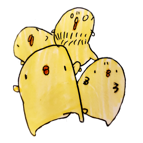 ヒヨコ4兄弟