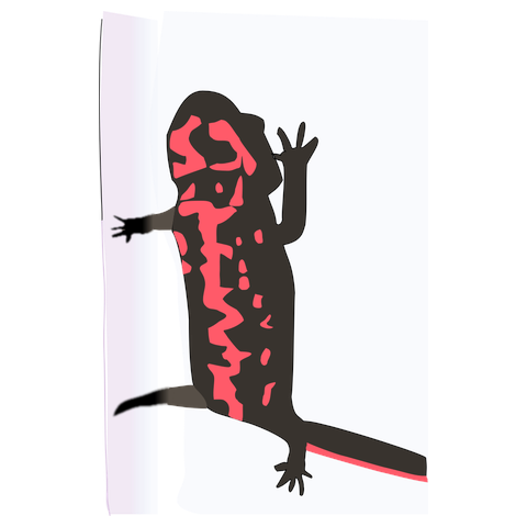 うんばば！＠あかはらいもり