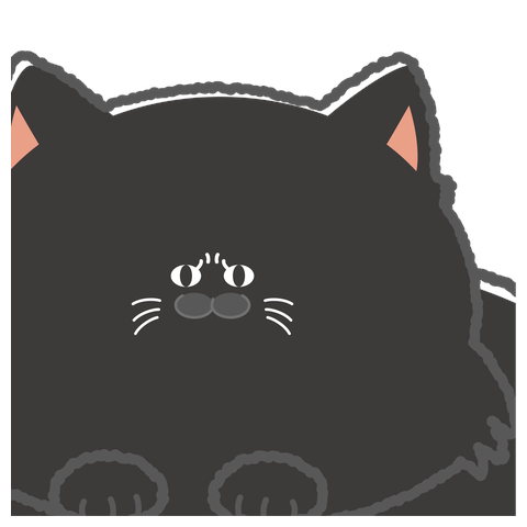 ふっくら黒猫（ガン見）