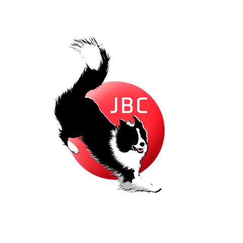 rook18(JAPAN両面プリント）