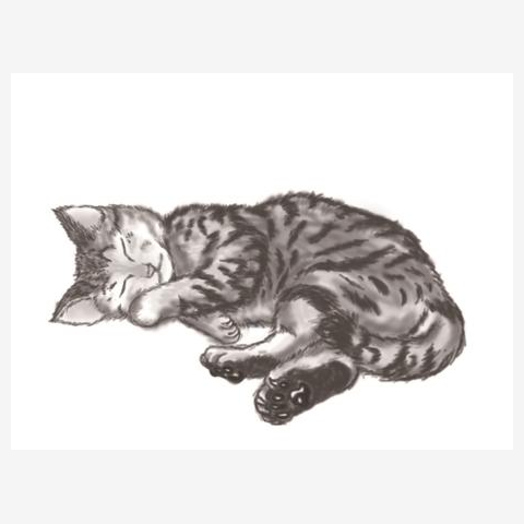 模写イラスト：猫 マイクロファイバーハンドタオルを購入