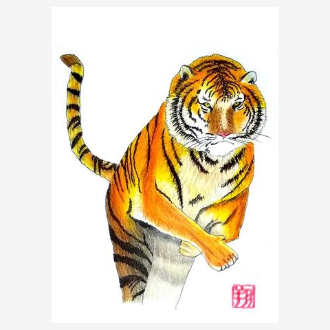 虎のイラスト4 | カットショップ 画点