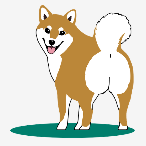 お散歩しようよ♪柴犬