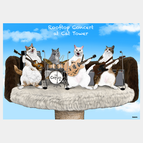 Rooftop Concert at Cat Tower