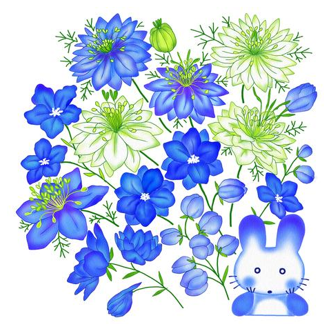 ネモフィラとニゲラ