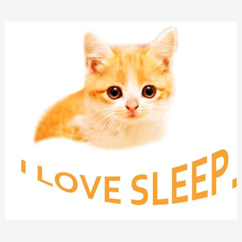 文字オレンジilovesleep猫Ｔシャツ Tシャツ(オレンジ/通常印刷)を購入