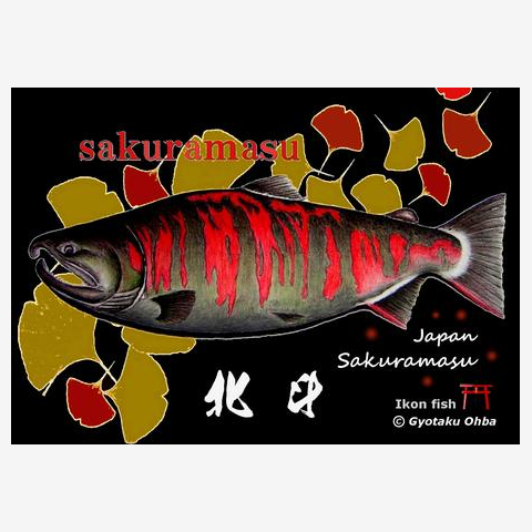 1.jpg?v=1685383876.893816