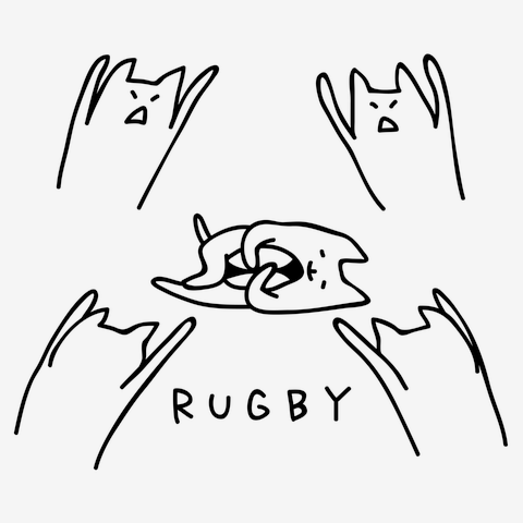 ラグビー　襲うネコ