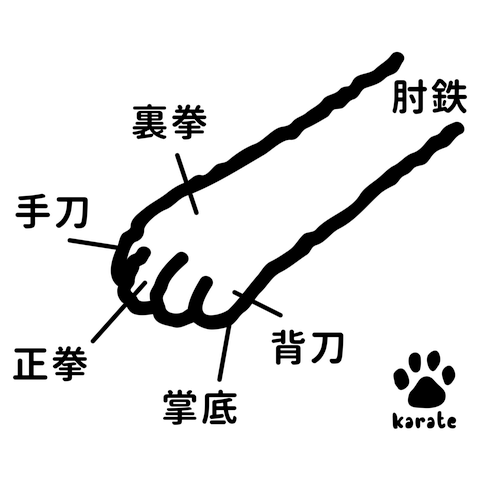 空手　ネコと手技