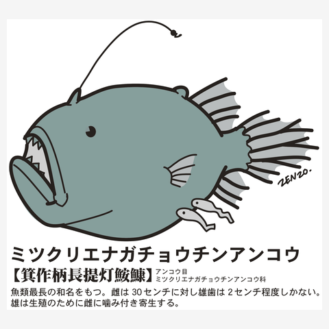 ミツクリエナガチョウチンアンコウの全アイテム|デザインTシャツ通販