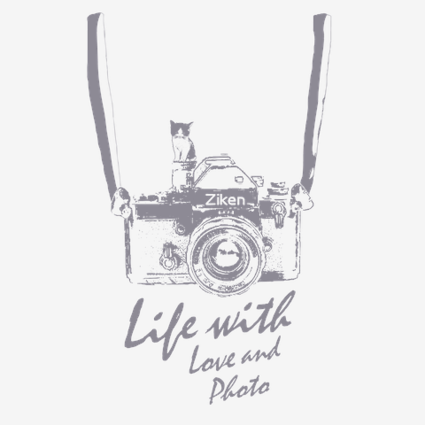 カメラに乗った猫