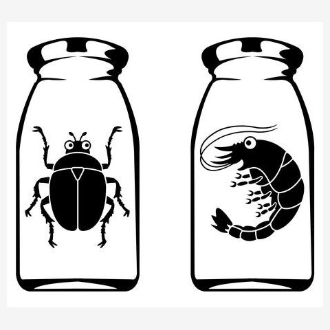 はげちゃびん トレーナーを購入|デザインTシャツ通販【ClubT】