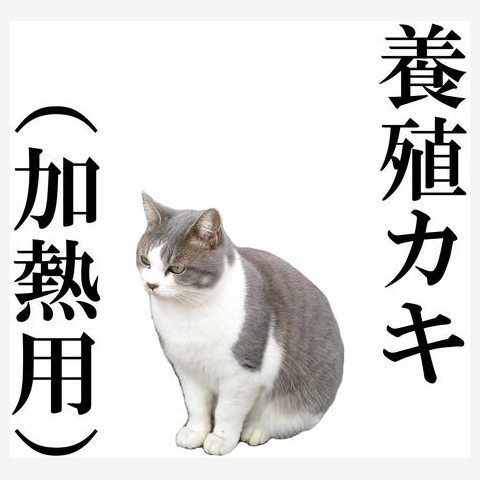 猫と「養殖カキ（加熱用）」の全アイテム|デザインTシャツ通販【ClubT】