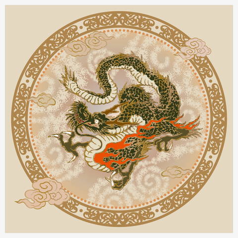 Ryu.T出品 2025年最新】ラグビーtシャツ ryuの人気アイテム - メルカリ