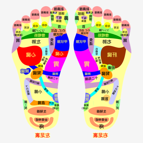 足ツボ（表：鏡映し用反転、裏：後の方見る用） 全面プリントTシャツを購入|デザインTシャツ通販【ClubT】