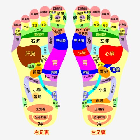 足ツボ（表：鏡映し用反転、裏：後の方見る用） トレーナーを購入|デザインTシャツ通販【ClubT】