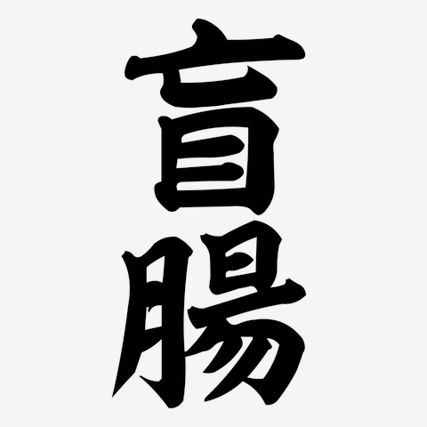 盲腸