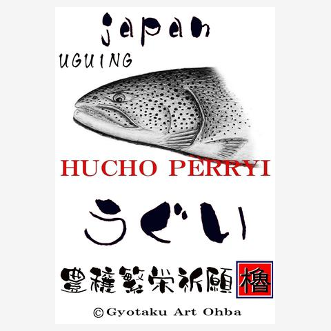 ウグイ！【うぐい；紅葉；１】あらゆる生命達へ感謝と祈りを捧げます。豊穣繁栄祈願！【背中は外道のイトウの顔・】ＪＡＰＡＮ製