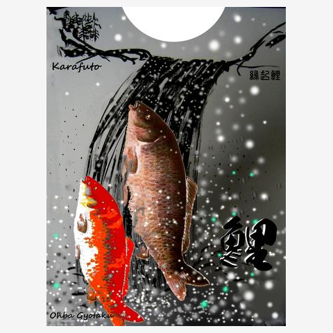 昇り鯉 日本画 #Japanesestylepainting #shiozakiken #塩崎顕 #鯉 #Carp #鲤鱼