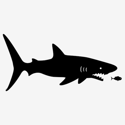 らくがきシリーズ‐サメシルエット-あむあむ