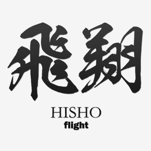 飛翔(hisho)：筆字：面白文字デザイン・漢字おもしろ系 Tシャツを購入|デザインTシャツ通販【ClubT】