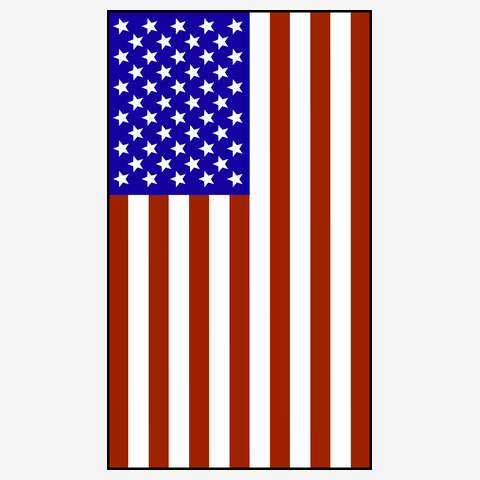 Stars and Stripes（縦掲揚） Tシャツを購入|デザインTシャツ