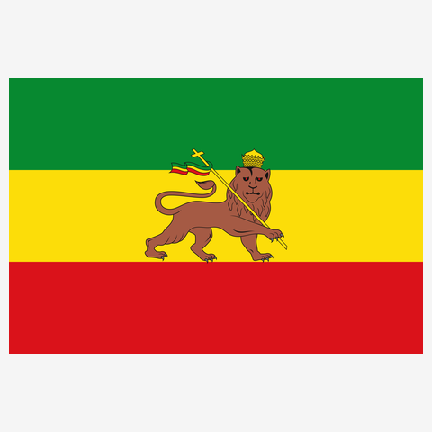 RASTAFARI LION FLAG-エチオピア帝国の国旗- Tシャツ Tシャツを購入 ...