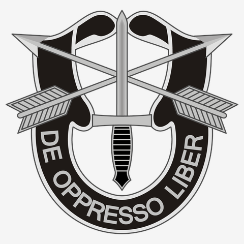 ★アメリカ軍＊ＳＦ/グリーンベレー＊ＤＩ/クレストバッジ/徽章（実物） Green Berets-アメリカ陸軍特殊部隊グリーンベレーの記章-ロゴ