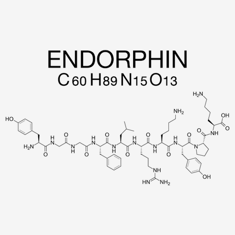 ENDORPHIN C60H89N15O13-エンドルフィン-ロゴTシャツの全