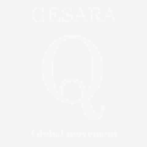 Q　GESARA 