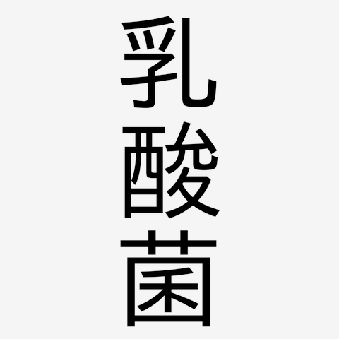 乳酸菌